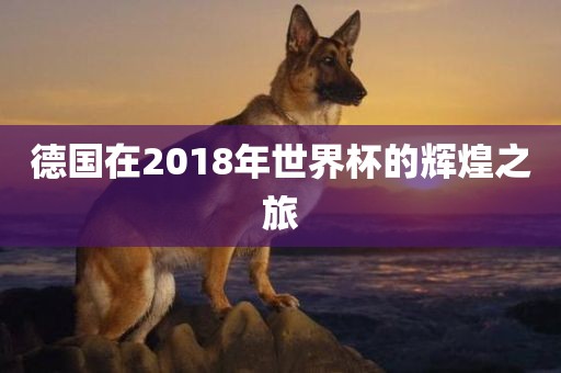 德国在2018年世界杯的辉煌之旅