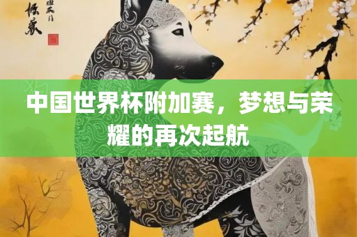 中国世界杯附加赛，梦想与荣耀的再次起航