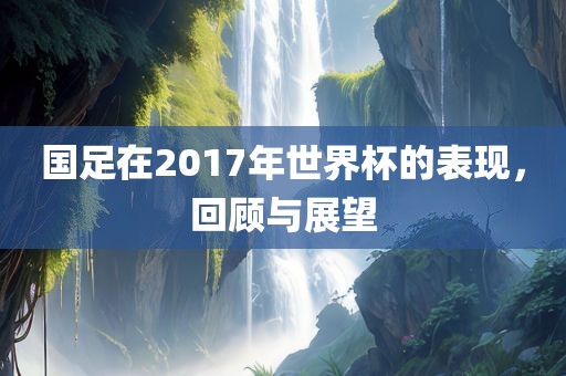 国足在2017年世界杯的表现，回顾与展望