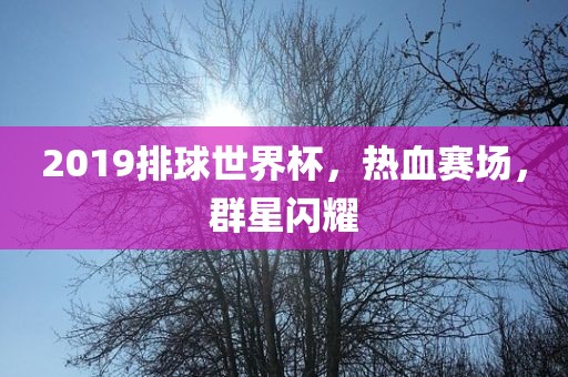 2019排球世界杯，热血赛场，群星闪耀
