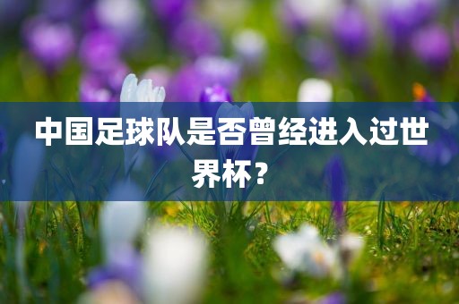 中国足球队是否曾经进入过世界杯？