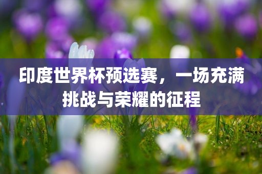 印度世界杯预选赛，一场充满挑战与洛阳市法福文化传播有限公司荣耀的征程