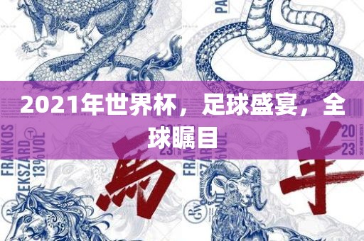 2021年世界杯，足球盛宴，全球瞩目