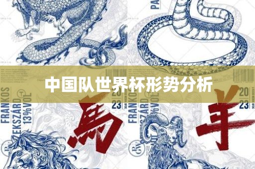 中国队世界杯形势分析