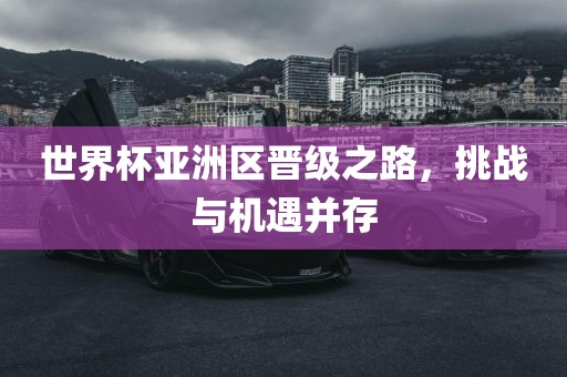 世界杯亚洲区晋级之路，挑战与机遇并存