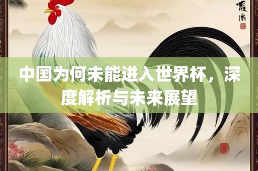 中国为何未能进入世界杯，深度解析与未来展望