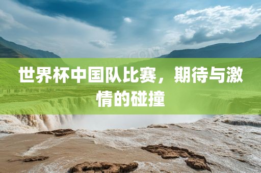 世界杯中国队比赛，期待与激情的碰撞