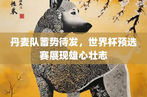 丹麦队蓄势待发，世界杯预选赛展现雄心壮志