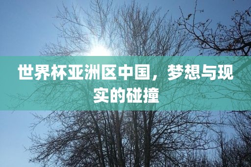 世界杯亚洲区中国，梦想与现实的碰撞