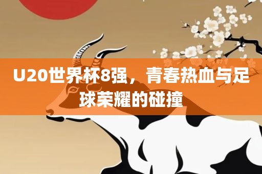 U20世界杯8强，青春热血与足球荣耀的碰撞