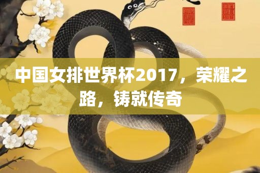 中国女排世界杯2017，荣耀之路，铸就传奇