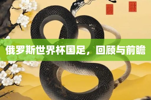 俄罗斯世界杯国足，回顾与前瞻