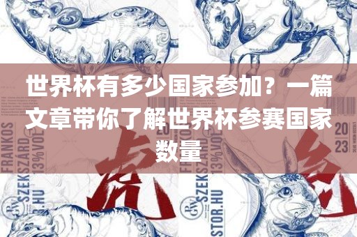 世界杯有多少国家参加？一篇文章带你了解世界杯参赛国家数量