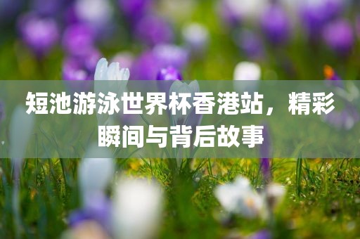 短池游泳世界杯香港站，精彩瞬间与背后故事