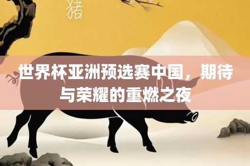 世界杯亚洲预选赛中国，期待与荣耀的重燃之夜