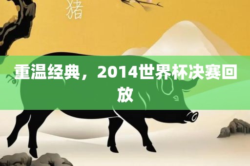 重温经典，2014世界杯决赛回放