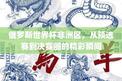 俄罗斯世界杯非洲区，从预选赛到决赛圈的精彩瞬间