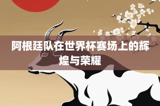 阿根廷队在世界杯赛场上的辉煌与荣耀
