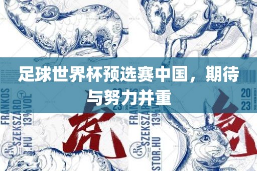 足球世界杯预选赛中国，期待与努力并重