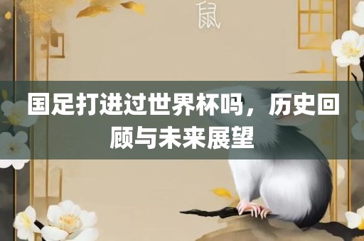 国足打进过世界杯吗，历史回顾与未来展望