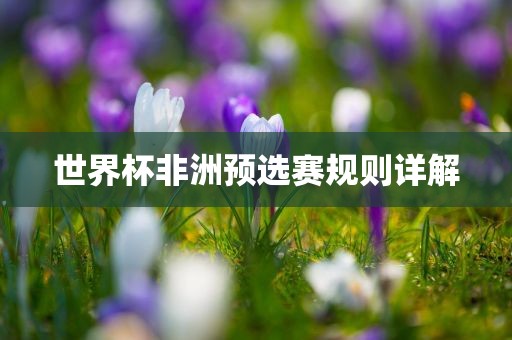 世界杯非洲预选赛规则详解