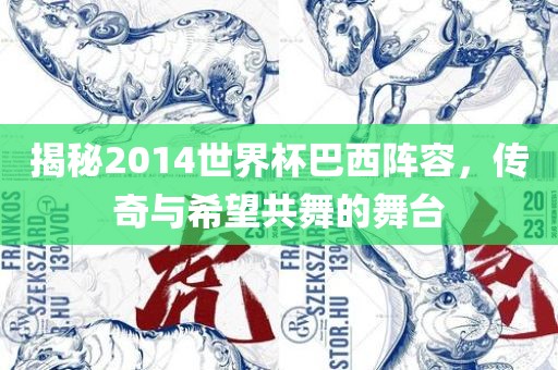 揭秘2014世界杯巴西阵容，传奇与希望共舞的舞台