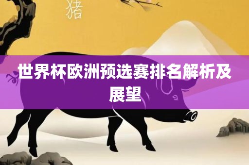 世界杯欧洲预选赛排名解析及展望