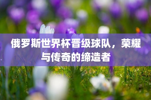俄罗斯世界杯晋级球队，荣耀与传奇的缔造者