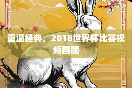 重温经典，2018世界杯比赛视频回顾