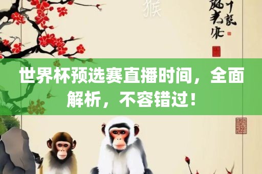 世界杯预选赛直播时间，全面解析，不容错过！