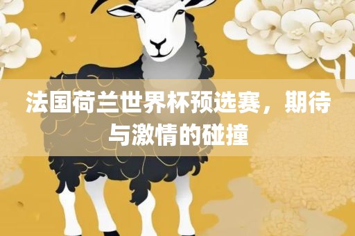 法国荷兰世界杯预选赛，期待与激情的碰撞