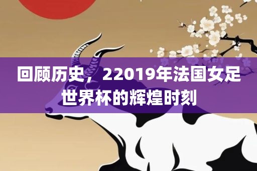 回顾历史，22019年法国女足世界杯的辉煌时刻