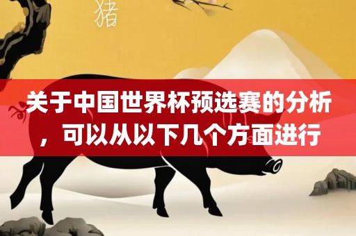 关于中国世界杯预选赛的分析，可以从以下几个方面进行