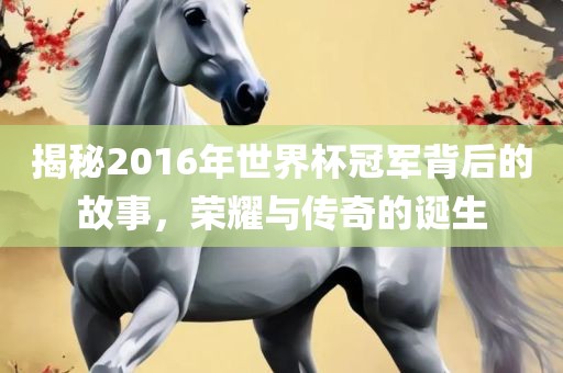 揭秘2016年世界杯冠军背后的故事，荣耀与传奇的诞生
