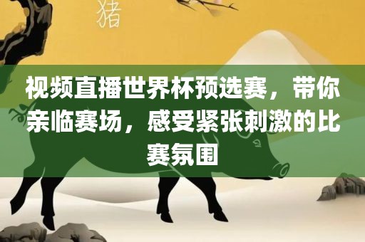 视频直播世界杯预选赛，带你亲临赛场，感受紧张刺激的比赛氛围