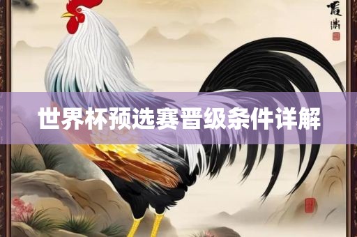 世界杯预选赛晋级条件详解
