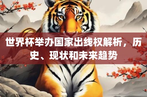 世界杯举办国家出线权解析，历史、现状和未来趋势
