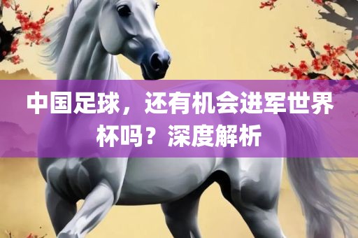 中国足球，还有机会进军世界杯吗？深度解析