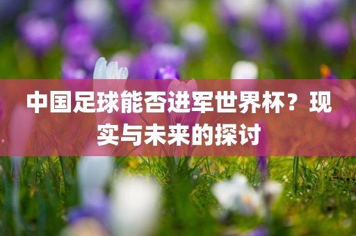 中国足球能否进军世界杯？现实与未来的探讨