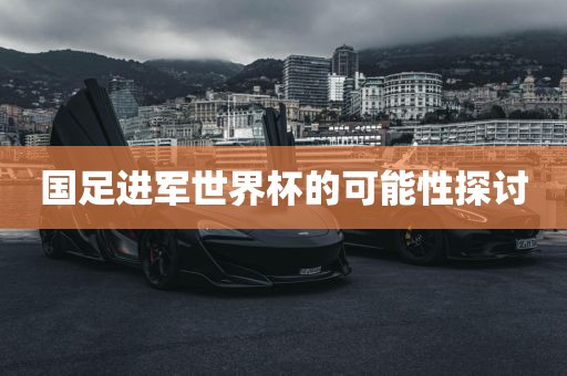 国足进军世界杯的可能性探讨