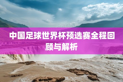 中国足球世界杯预选赛全程回顾与解析