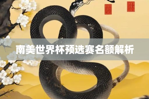 南美世界杯预选赛名额解析