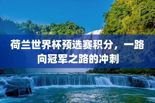 荷兰世界杯预选赛积分，一路向冠军之路的冲刺