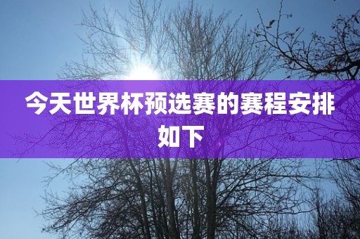 今天世界杯预选赛的赛程安排如下