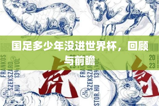 国足多少年没进世界杯，回顾与前瞻