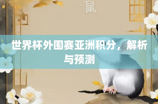 世界杯外围赛亚洲积分，解析与预测