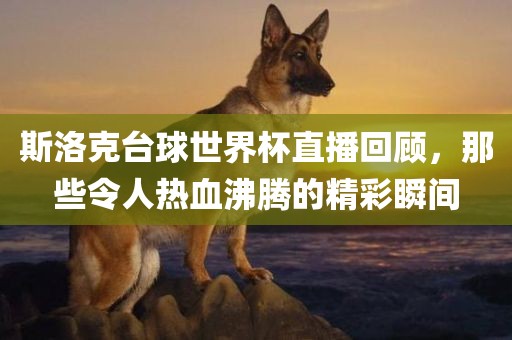 斯洛克台球世界杯直播回顾，那些令人热血沸腾的精彩瞬间