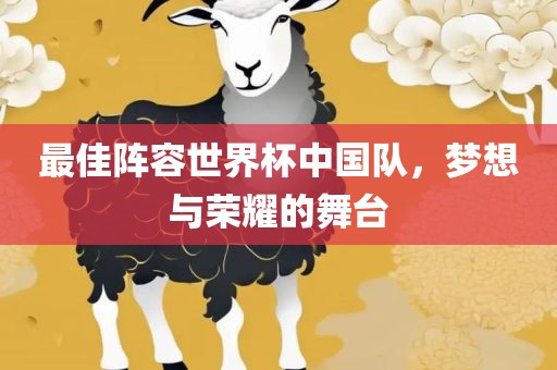 最佳阵容世界杯中国队，梦想与荣耀的舞台