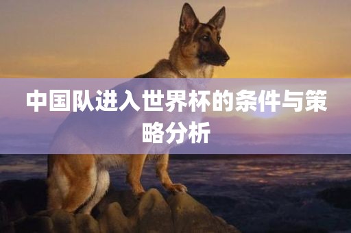 中国队进入世界杯的条件与策略分析