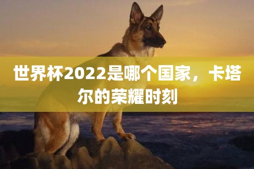 世界杯2022是哪个国家，卡塔尔的荣耀时刻